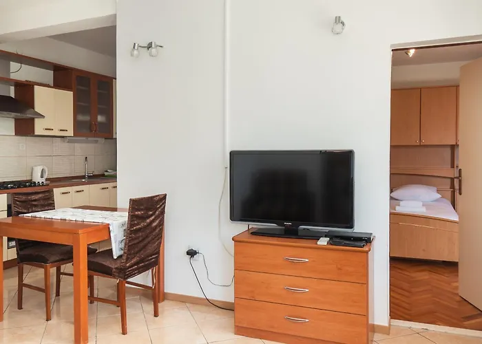 Polly * 프리모스턴