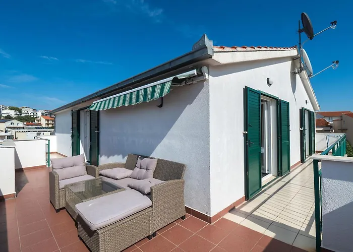 Polly * 프리모스턴