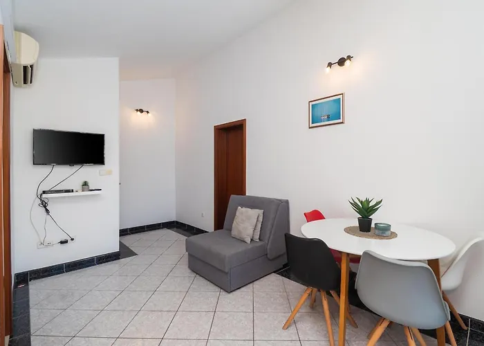 Polly * 프리모스턴